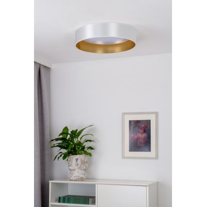 Duolla - LED Stropné svietidlo ROLLER LED/24W/230V pr. 45 cm strieborná/zlatá