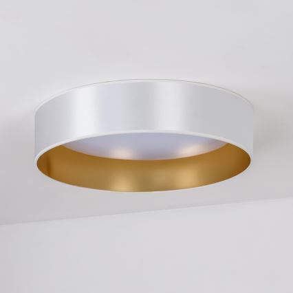 Duolla - LED Stropné svietidlo ROLLER LED/24W/230V pr. 45 cm strieborná/zlatá