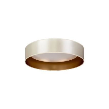 Duolla - LED Stropné svietidlo ROLLER LED/24W/230V pr. 45 cm strieborná/zlatá