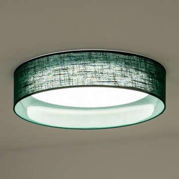 Duolla - LED Stropné svietidlo ROLLER LED/24W/230V pr. 45 cm zelená