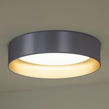 Duolla - LED Stropné svietidlo ROLLER LED/24W/230V strieborná/zlatá
