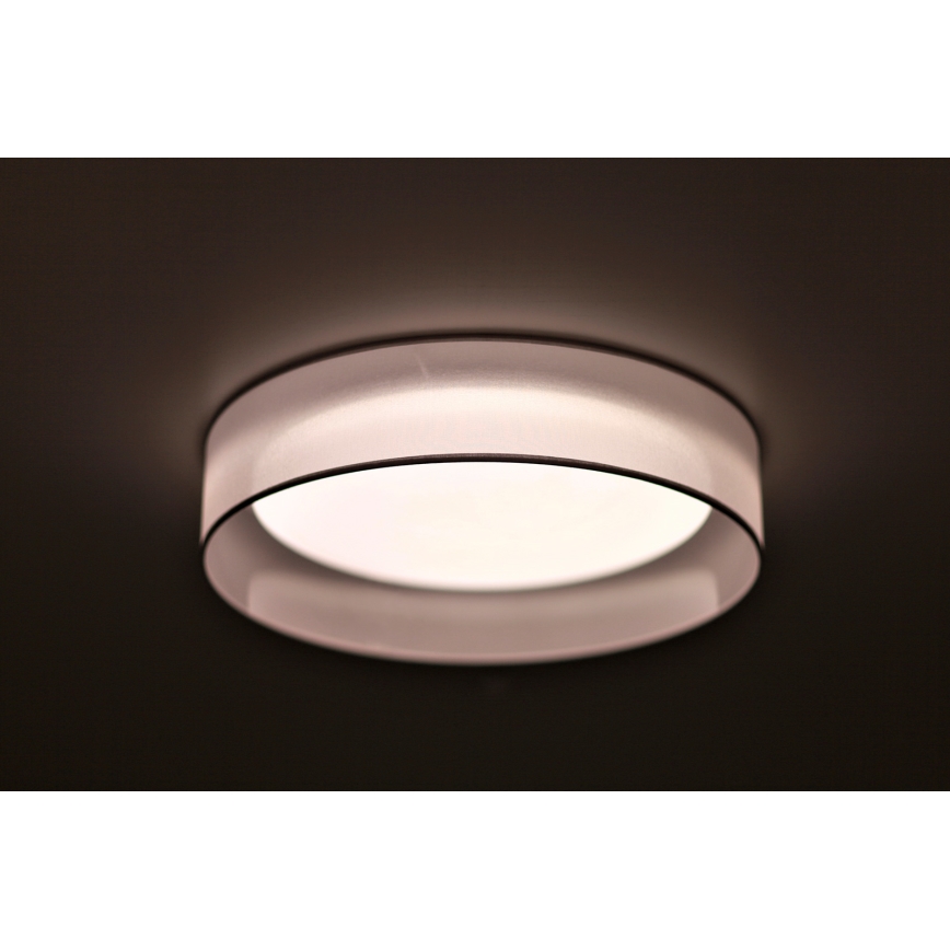 Duolla - LED Stropné svietidlo ROLLER LED/24W/230V svetlo pr. 45 cm šedá