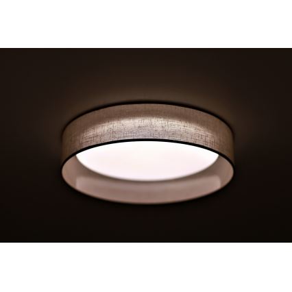 Duolla - LED Stropné svietidlo ROLLER LED/24W/230V svetlo pr. 45 cm šedá