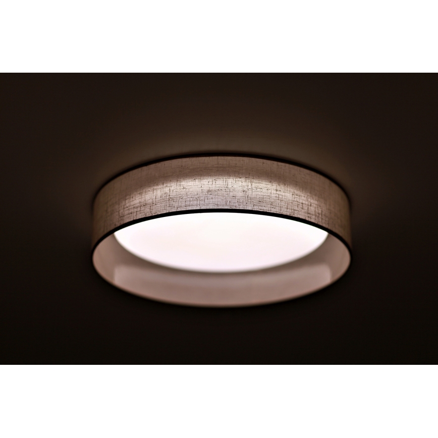 Duolla - LED Stropné svietidlo ROLLER LED/24W/230V svetlo pr. 45 cm šedá