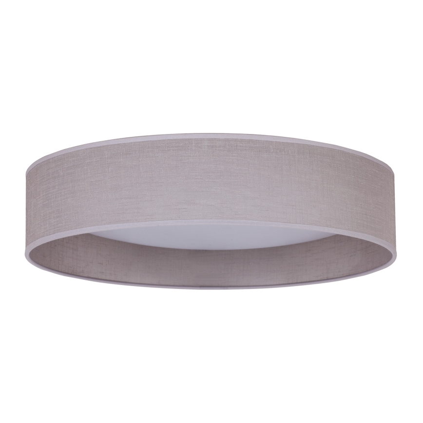 Duolla - LED Stropné svietidlo ROLLER LED/24W/230V svetlo pr. 45 cm šedá