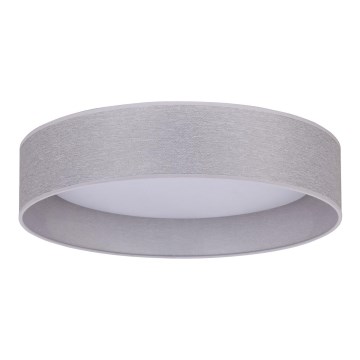 Duolla - LED Stropné svietidlo ROLLER LED/24W/230V svetlo pr. 45 cm šedá