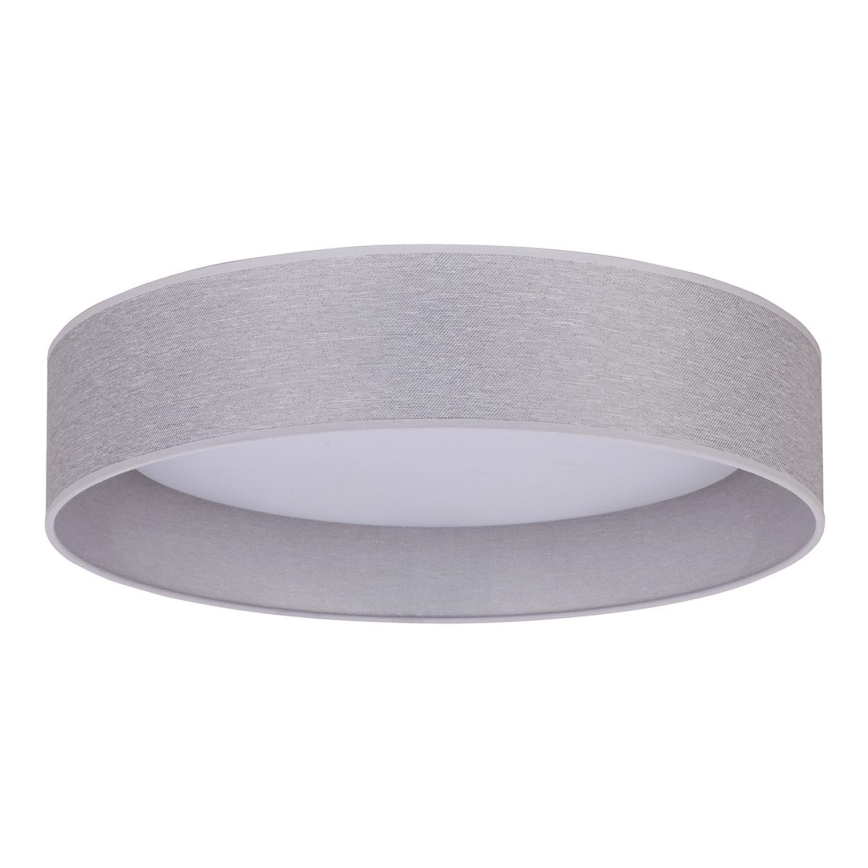 Duolla - LED Stropné svietidlo ROLLER LED/24W/230V svetlo pr. 45 cm šedá