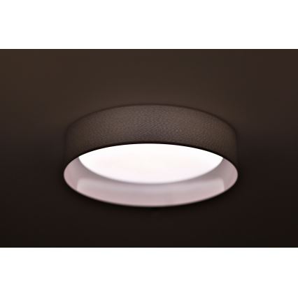 Duolla - LED Stropné svietidlo ROLLER LED/24W/230V svetlo pr. 45 cm šedá