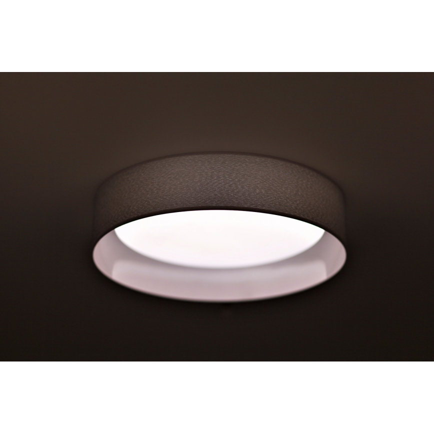 Duolla - LED Stropné svietidlo ROLLER LED/24W/230V svetlo pr. 45 cm šedá