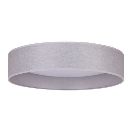 Duolla - LED Stropné svietidlo ROLLER LED/24W/230V svetlo pr. 45 cm šedá