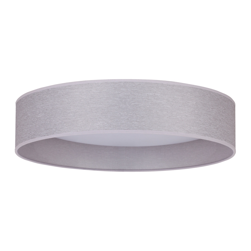Duolla - LED Stropné svietidlo ROLLER LED/24W/230V svetlo pr. 45 cm šedá