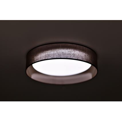 Duolla - LED Stropné svietidlo ROLLER LED/24W/230V tmavo pr. 45 cm hnedá