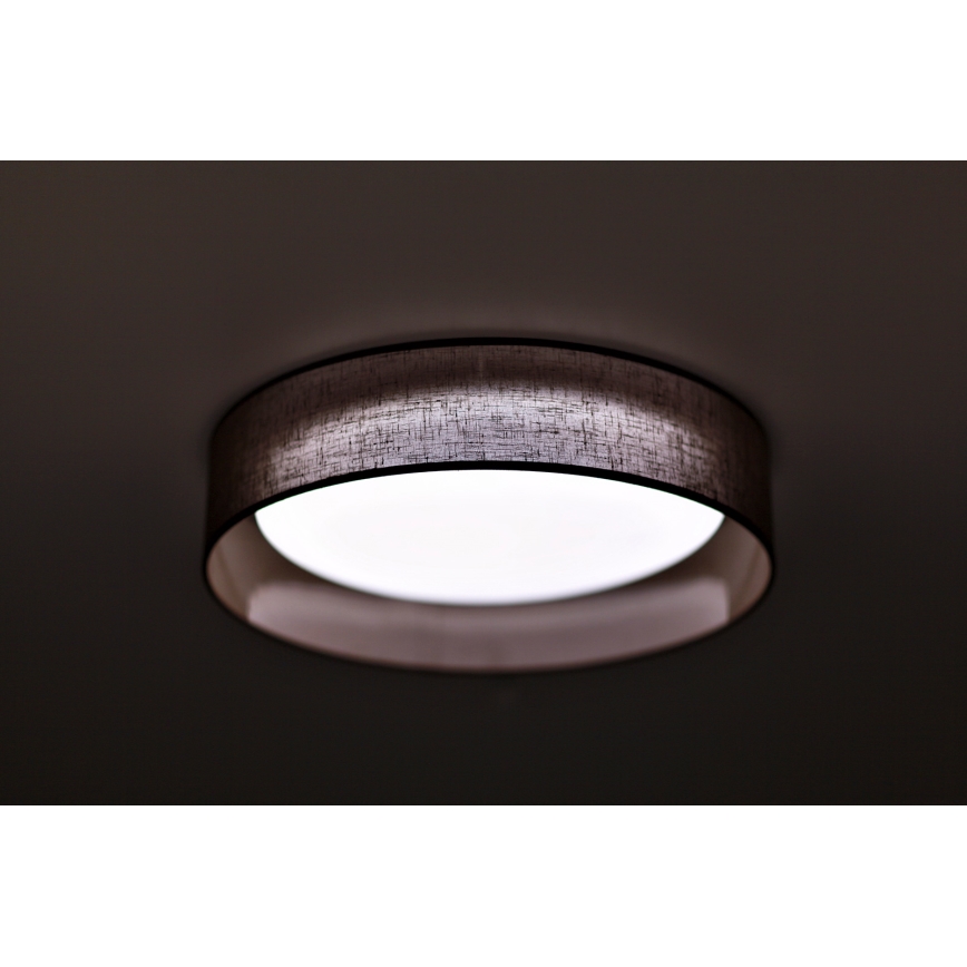 Duolla - LED Stropné svietidlo ROLLER LED/24W/230V tmavo pr. 45 cm hnedá