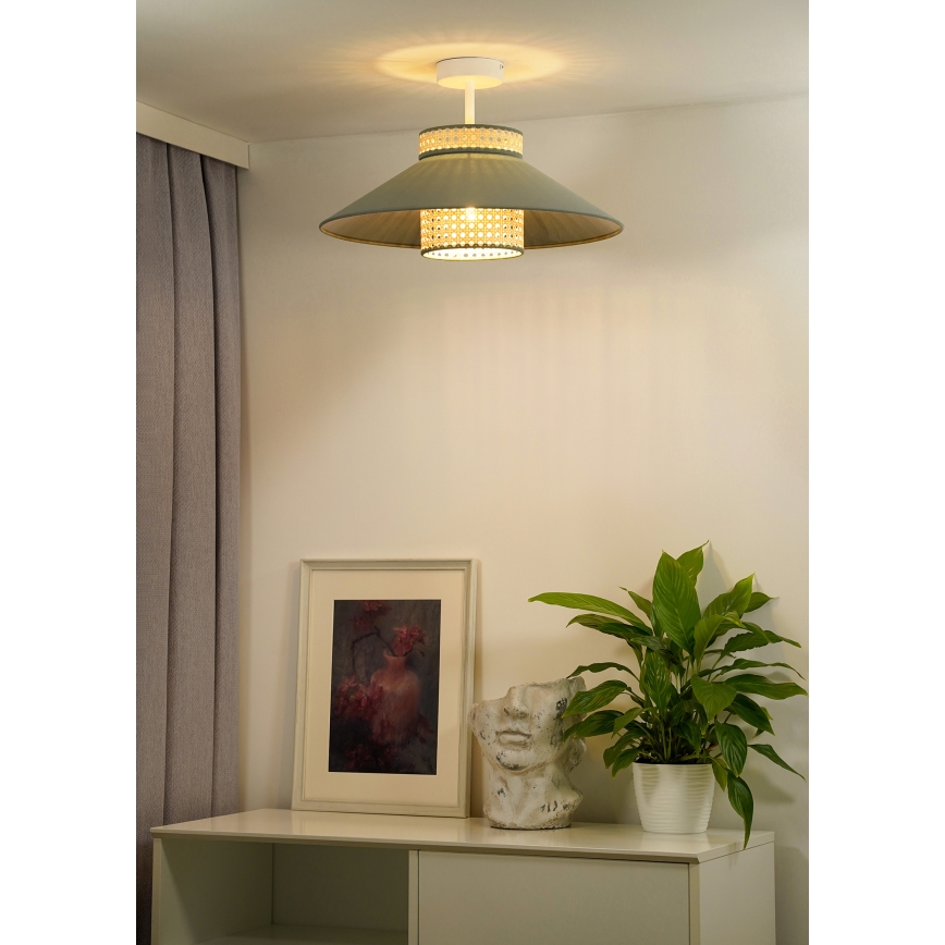 Duolla - Prisadený luster RIO RATTAN 1xE27/15W/230V pr. 45 cm zelená/ratan