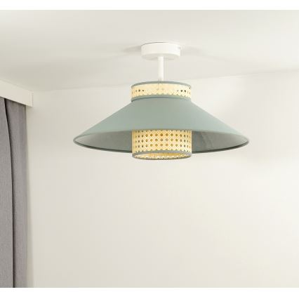 Duolla - Prisadený luster RIO RATTAN 1xE27/15W/230V pr. 45 cm zelená/ratan