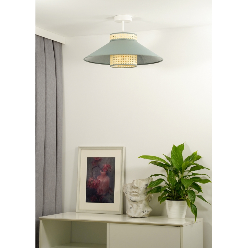 Duolla - Prisadený luster RIO RATTAN 1xE27/15W/230V pr. 45 cm zelená/ratan