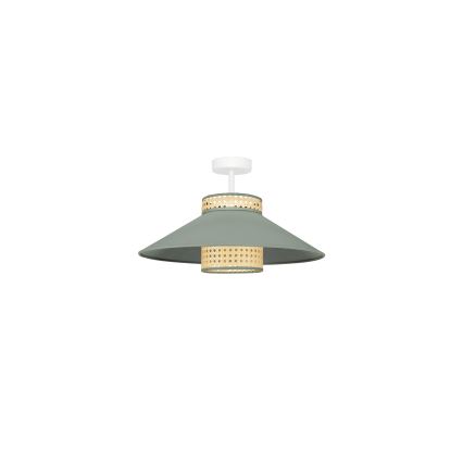 Duolla - Prisadený luster RIO RATTAN 1xE27/15W/230V pr. 45 cm zelená/ratan