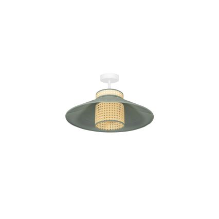 Duolla - Prisadený luster RIO RATTAN 1xE27/15W/230V pr. 45 cm zelená/ratan