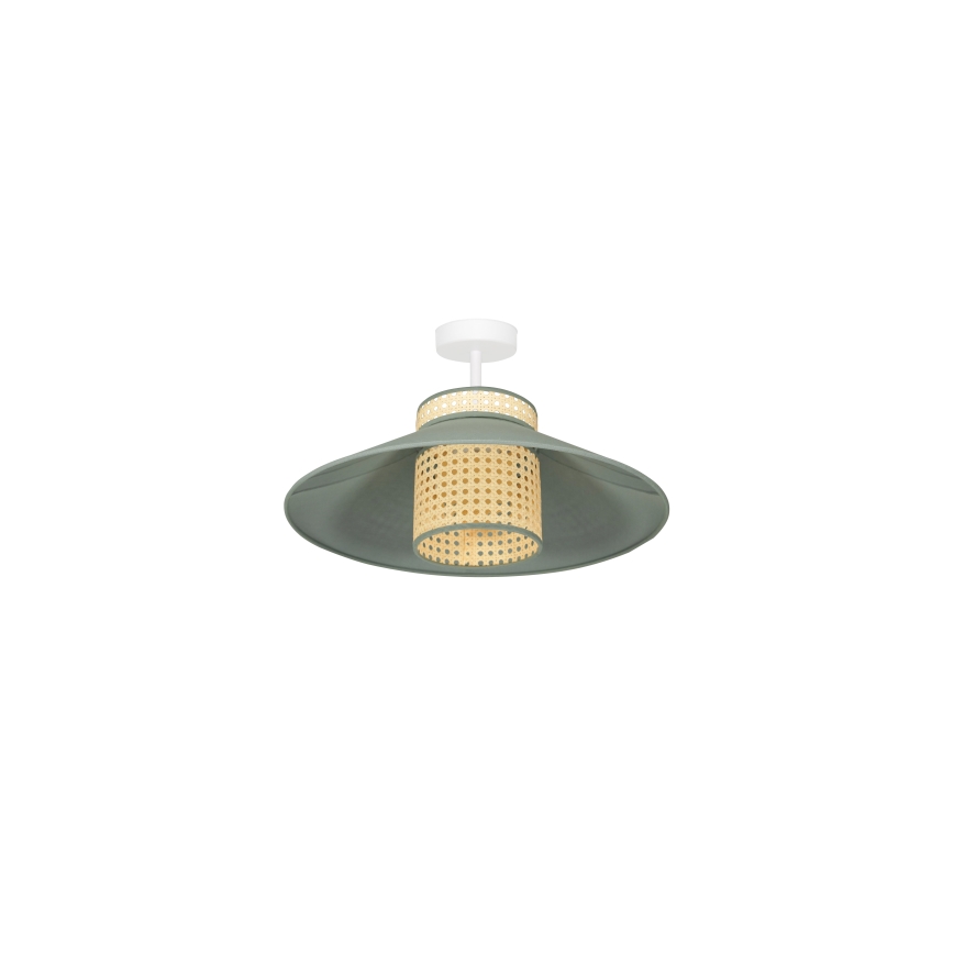 Duolla - Prisadený luster RIO RATTAN 1xE27/15W/230V pr. 45 cm zelená/ratan