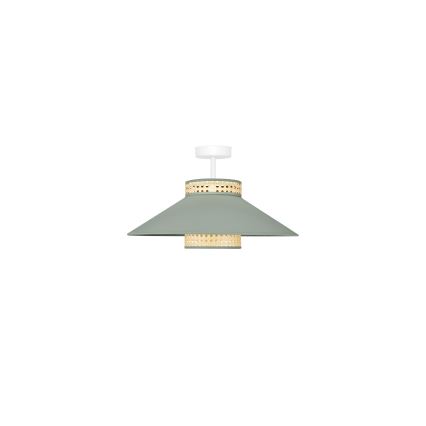 Duolla - Prisadený luster RIO RATTAN 1xE27/15W/230V pr. 45 cm zelená/ratan