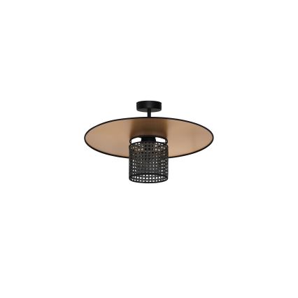 Duolla - Prisadený luster TOKYO RATTAN 1xE27/15W/230V pr. 50 cm zlatá/čierna
