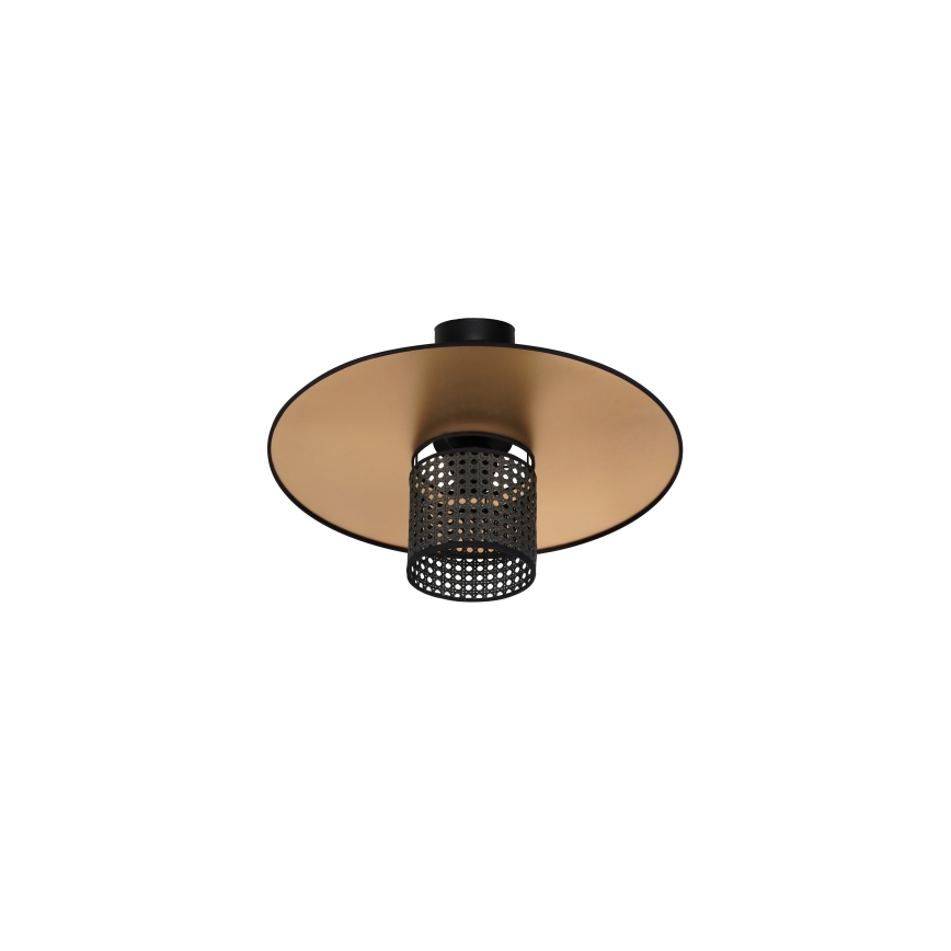 Duolla - Prisadený luster TOKYO RATTAN 1xE27/15W/230V pr. 50 cm zlatá/čierna