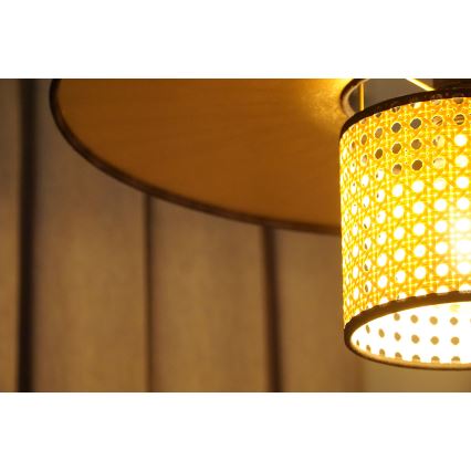 Duolla - Prisadený luster TOKYO RATTAN 1xE27/15W/230V pr. 50 cm zlatá/ratan