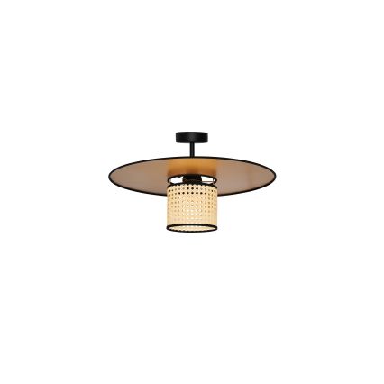 Duolla - Prisadený luster TOKYO RATTAN 1xE27/15W/230V pr. 50 cm zlatá/ratan