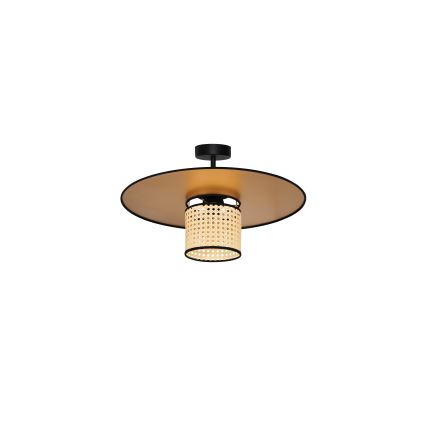 Duolla - Prisadený luster TOKYO RATTAN 1xE27/15W/230V pr. 50 cm zlatá/ratan