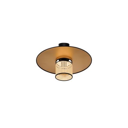 Duolla - Prisadený luster TOKYO RATTAN 1xE27/15W/230V pr. 50 cm zlatá/ratan