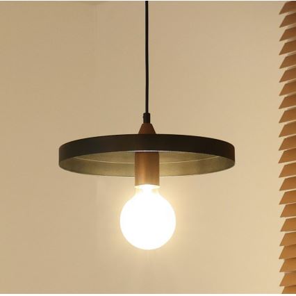 Duolla - Závesné svietidlo IRONLINE na lanku 1xE27/15W/230V, Ø 30 cm, čierna/medená