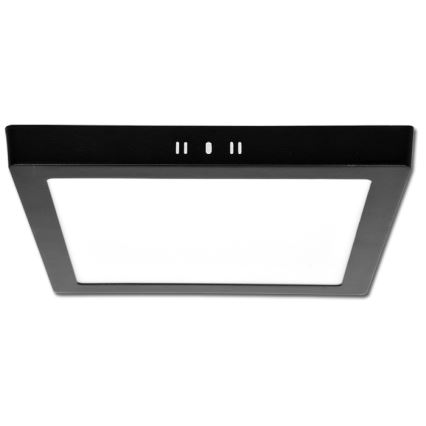 LED Stropné svietidlo RAFA LED/18W/230V 3000/4000/6000K 22x22 cm čierna