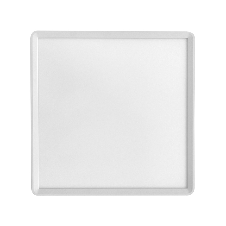 LED Stropné svietidlo TERY LED/24W/230V 3000/4000/6000K 30x30 cm IP40 biela