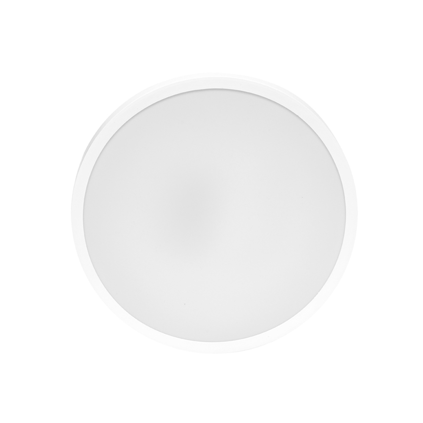 LED Kúpeľňové stropné svietidlo LIRA LED/12W/230V 4000K pr. 25 cm IP44 biela