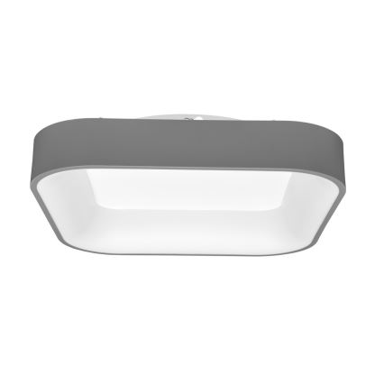 LED Stmievateľné stropné svietidlo NEST LED/40W/230V 3000-6500K šedá + diaľkové ovládanie