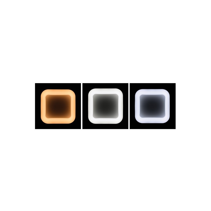 LED Stmievateľné stropné svietidlo NEST LED/40W/230V 3000-6500K šedá + diaľkové ovládanie