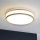 Eglo 31025 - Stropné svietidlo do kúpeľne PALERMO 1xE14/40W/230V IP44
