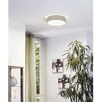 Eglo 31589 - LED stropné svietidlo Paster 1xLED/12W/230V