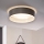 Eglo 31623 - LED stropné svietidlo MASERLO LED/16W/230V 3000K pr. 40,5 cm sivá/strieborná