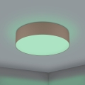 Eglo 31767 - LED RGBW Stmievateľné stropné svietidlo ROMAO-Z LED/35W/230V 2700-6500K pr. 57 cm béžovo-šedá