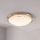 Eglo 32094 - LED Stropné svietidlo PLANET LED/11W/230V 3000K matný chróm