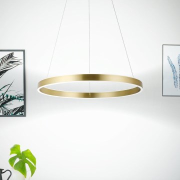 Eglo 33484 - LED luster na lanku ALCAZABA 2xLED/18W/230V 3000K pr. 55 cm zlatý