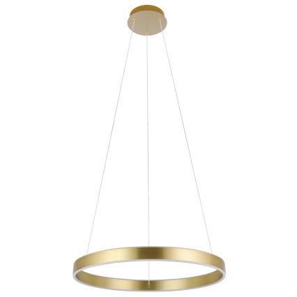 Eglo 33484 - LED luster na lanku ALCAZABA 2xLED/18W/230V 3000K pr. 55 cm zlatý