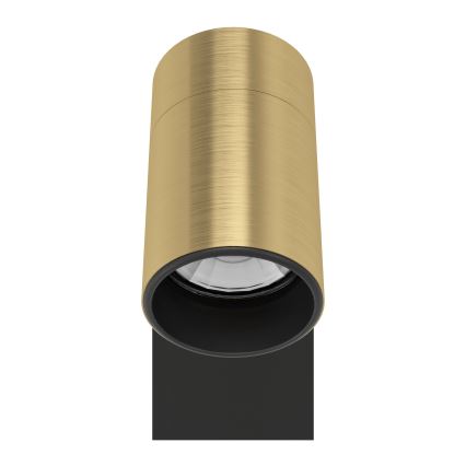 Eglo - LED Nástenné bodové svietidlo 1xGU10/4,5W/230V 3000K čierna/zlatá
