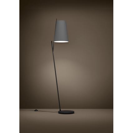 Eglo - Stojacia lampa 1xE27/40W/230V šedá