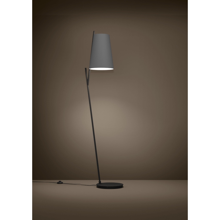 Eglo - Stojacia lampa 1xE27/40W/230V šedá