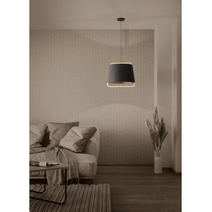 Eglo - Luster na lanku 1xE27/40W/230V čierna