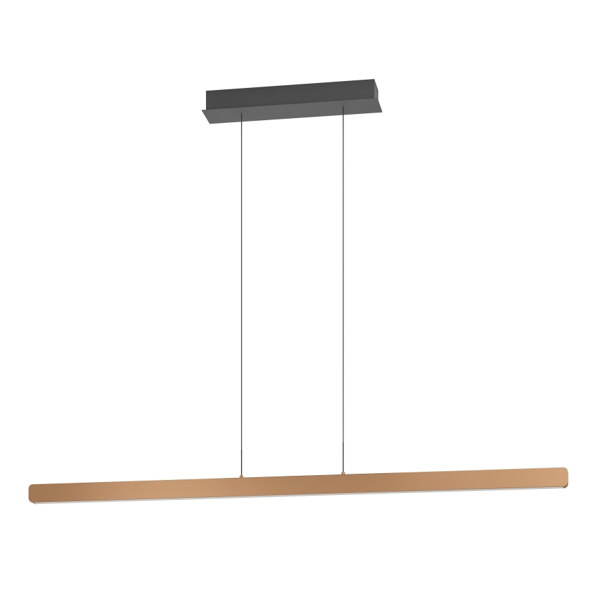 Eglo Stars of Light - LED stmievateľný luster na lane LED/30W/230V 2200-6500K zlatá + diaľkové ovládanie