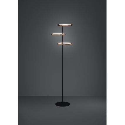 Eglo - LED stmievateľná stojacia lampa LED/20W/230V 2200-6500K mosadz