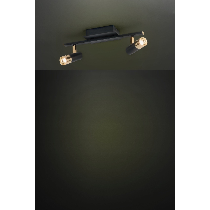 Eglo - LED Bodové svietidlo 2xLED/5W/230V/12V